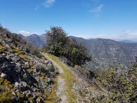 Wanderreise Zypern März, 2019