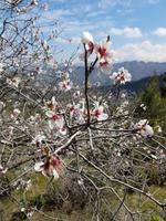 Wanderreise Zypern März, 2019