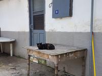 Wanderreise Zypern März, 2019