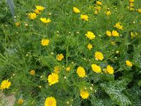 Wanderreise Zypern März, 2019