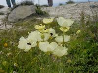 Wanderreise Zypern März, 2019