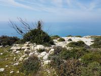 Wanderreise Zypern März, 2019