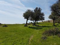 Wanderreise Zypern März, 2019