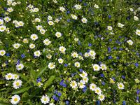 Wanderreise Zypern März, 2019