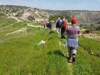 Wanderreise Zypern März, 2019