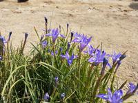 Wanderreise Zypern März, 2019