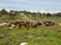 Wanderreise Zypern März, 2019