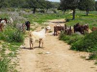 Wanderreise Zypern März, 2019