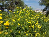 Wanderreise Zypern März, 2019