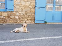 Wanderreise Zypern März, 2019