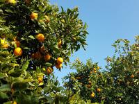 Wanderreise Zypern März, 2019