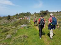 Wanderreise Zypern März, 2019