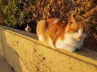 Wanderreise Zypern März, 2019