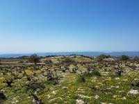 Wanderreise Zypern März, 2019