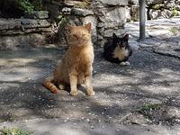 Wanderreise Zypern März, 2019