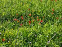 Wanderreise Zypern März, 2019