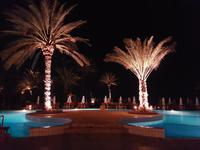 Wanderreise Zypern März, 2019