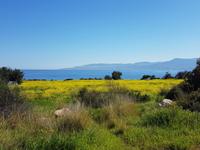 Wanderreise Zypern März, 2019