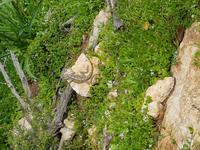 Wanderreise Zypern März, 2019