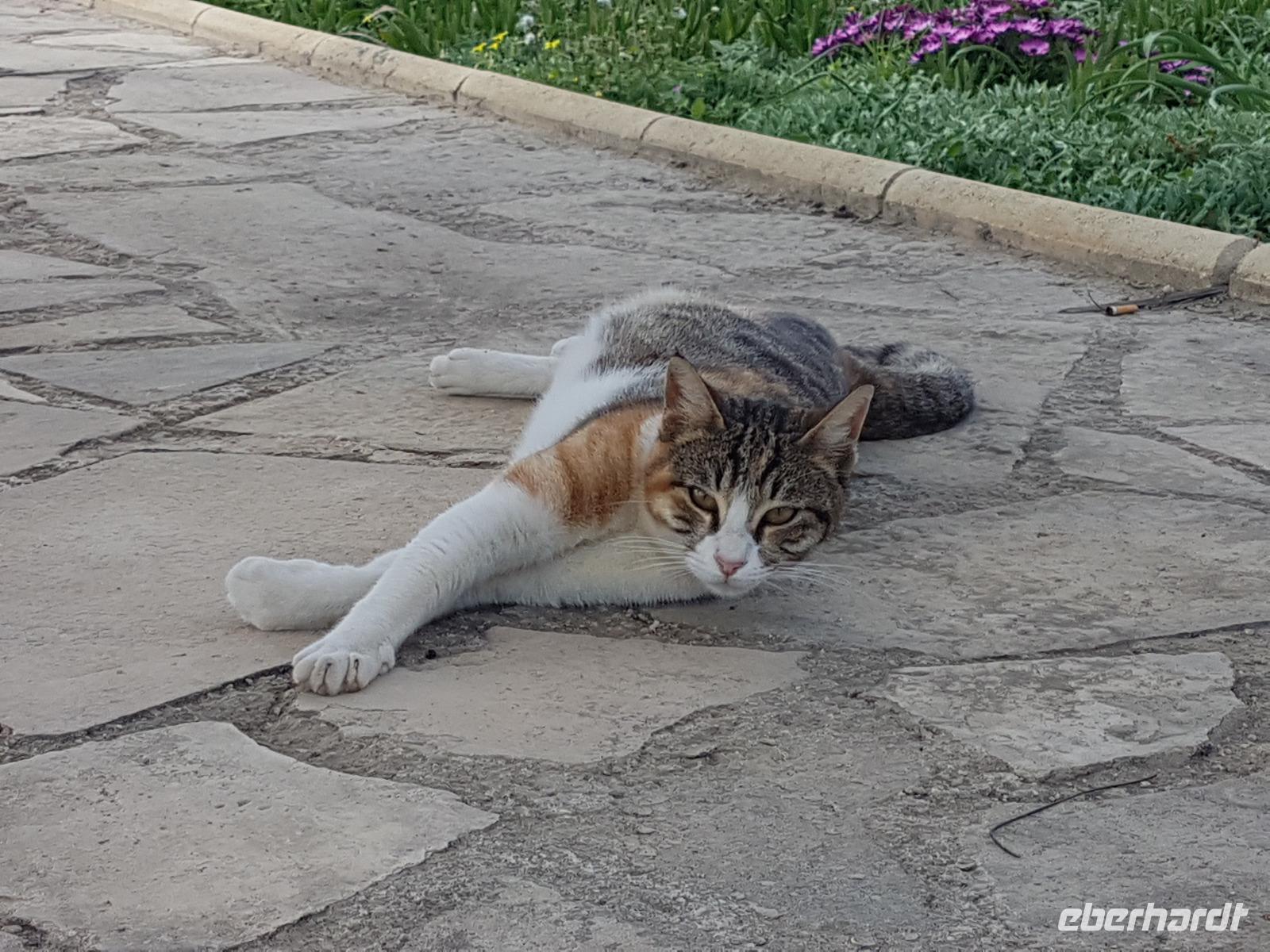 Wanderreise Zypern März, 2019