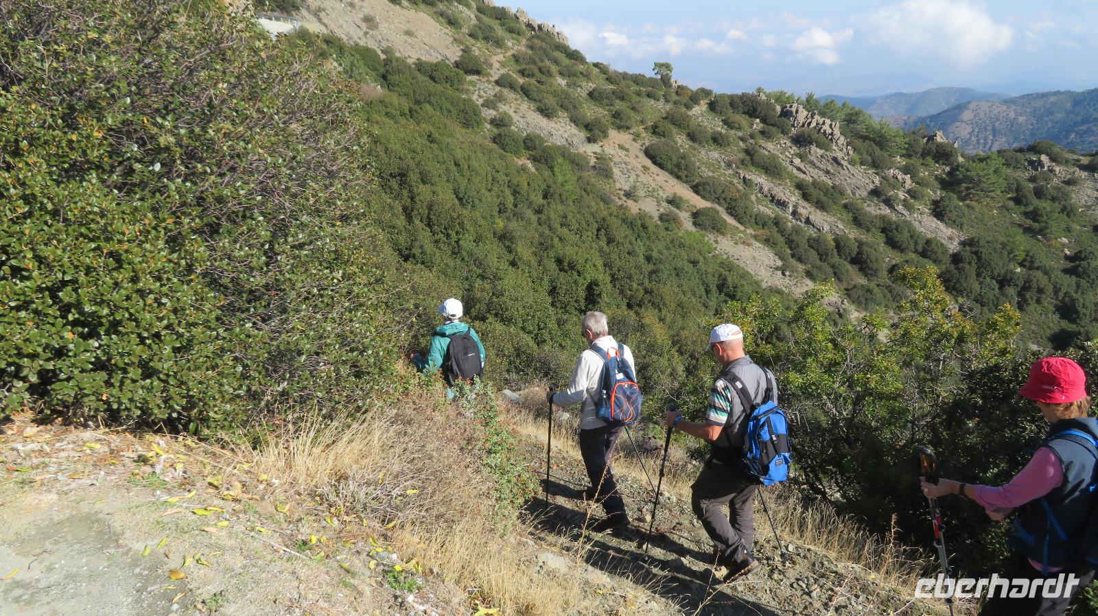 Wanderung in der grünen Lunge Zyperns