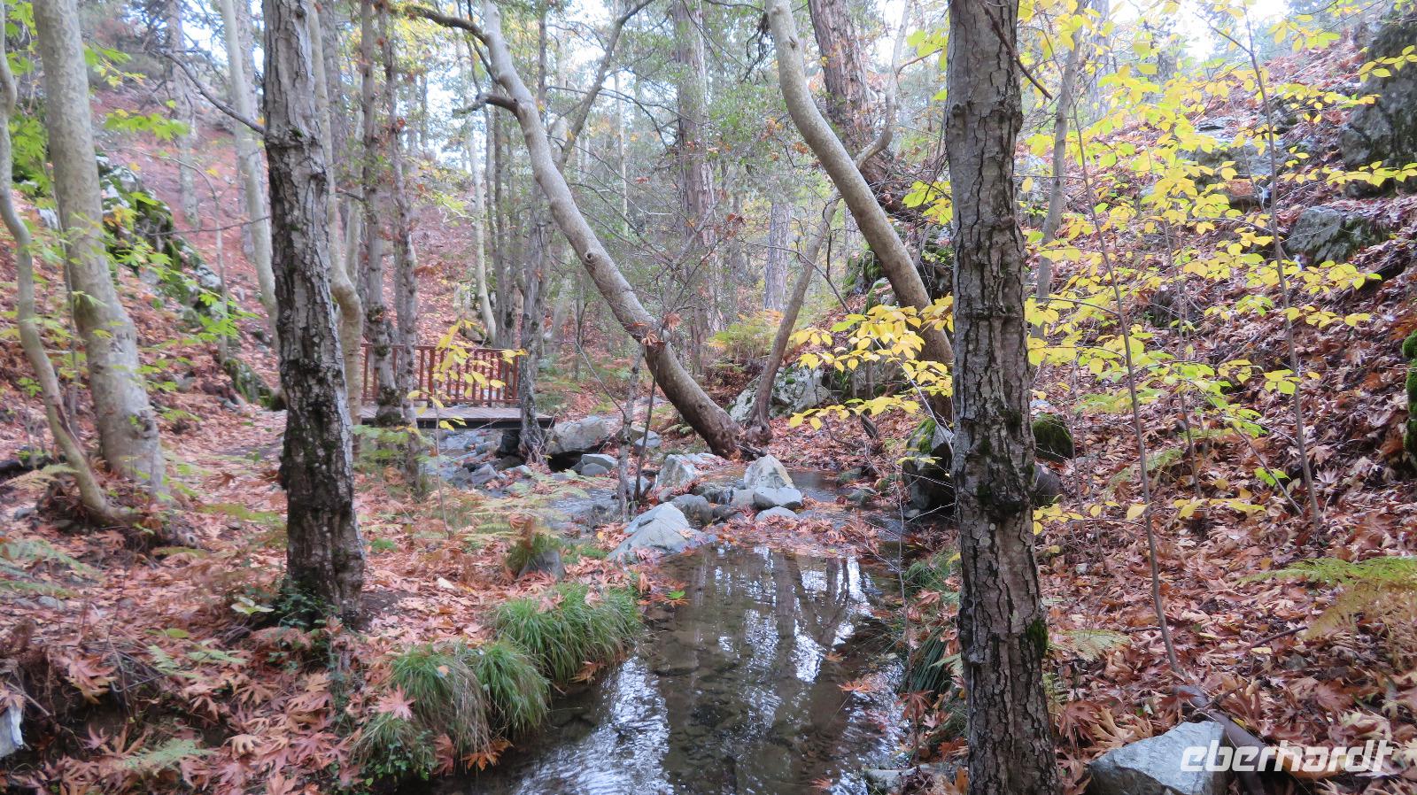Wanderung Kaledonia-Wasserfälle