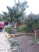 Bad der Aphrodite (2)