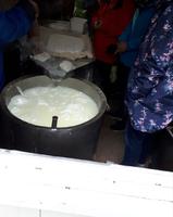 Halloumifarm bei Familie Loullas