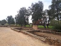 Haus des Dionysos (7)