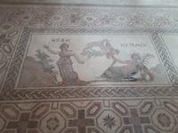 Haus des Dionysos (10)