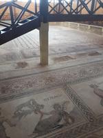 Haus des Dionysos (12)