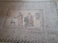 Haus des Dionysos (14)