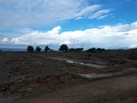 Haus des Dionysos (15)