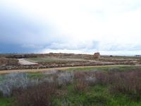 Haus des Dionysos (18)