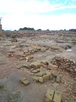 Haus des Dionysos (19)