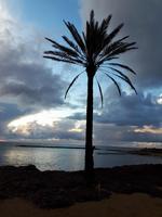 Hotelanlage Pioneer Beach - Paphos (11)