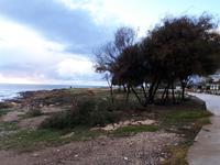 Hotelanlage Pioneer Beach (1)