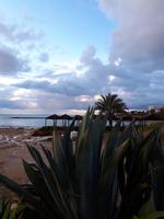 Hotelanlage Pioneer Beach (2)