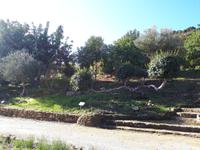 Spaziergang entlang der Küste - Akamas (2)