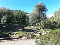 Spaziergang entlang der Küste - Akamas (3)