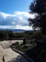 Spaziergang entlang der Küste - Akamas (4)