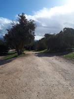 Spaziergang entlang der Küste - Akamas (6)