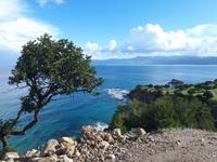 Spaziergang entlang der Küste - Akamas (12)