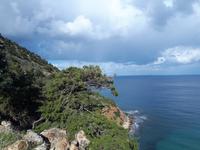 Spaziergang entlang der Küste - Akamas (14)