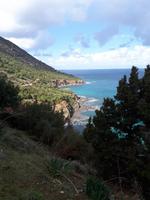 Spaziergang entlang der Küste - Akamas (16)