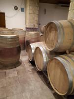 Weingut mit Verkostung (4)