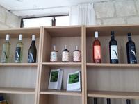 Weingut mit Verkostung (8)