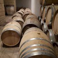 Weingut mit Verkostung (10)