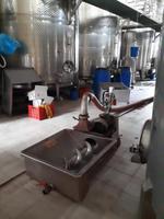 Weingut mit Verkostung (11)