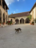 Kloster Chrysorrogiatissa